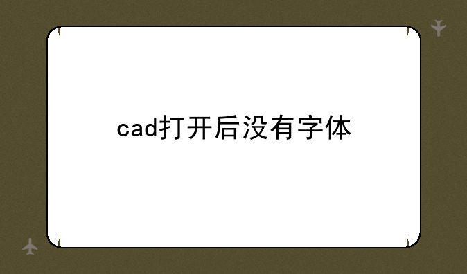 cad打开后没有字体