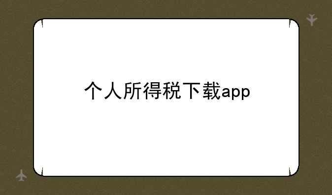 个人所得税下载app