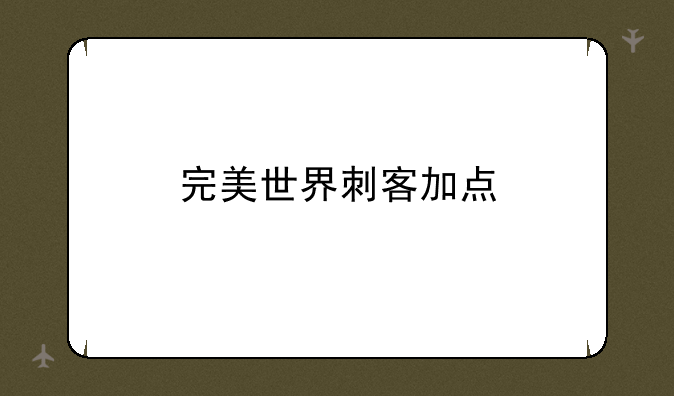 完美世界刺客加点
