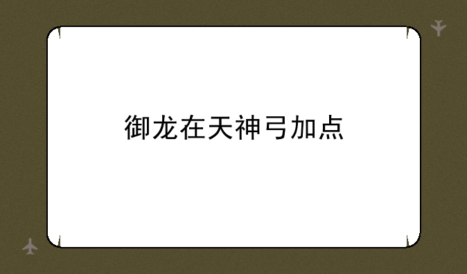 御龙在天神弓加点
