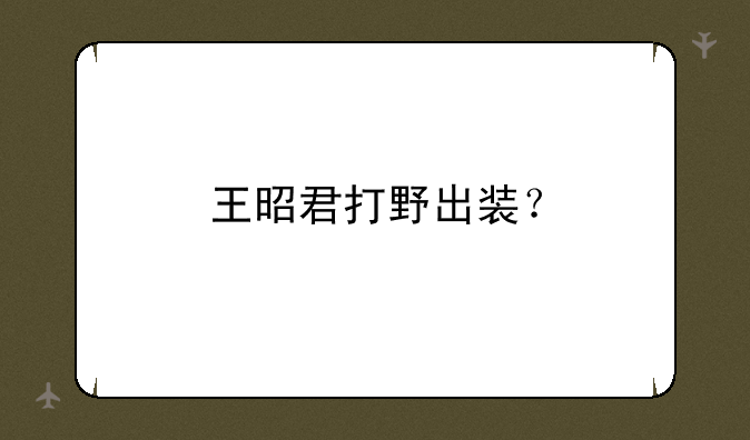 王昭君打野出装？