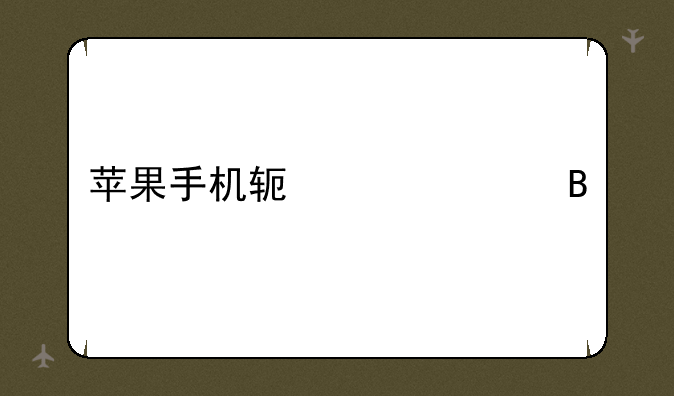 苹果手机软件管理