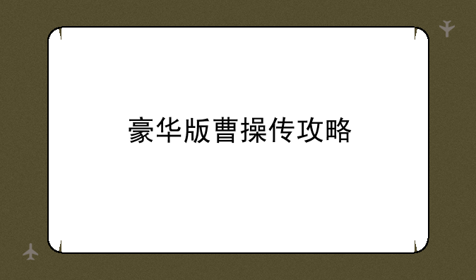 豪华版曹操传攻略