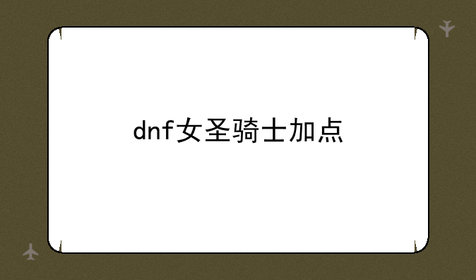 dnf女圣骑士加点