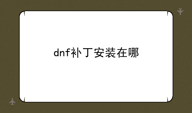 dnf补丁安装在哪