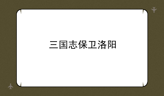三国志保卫洛阳