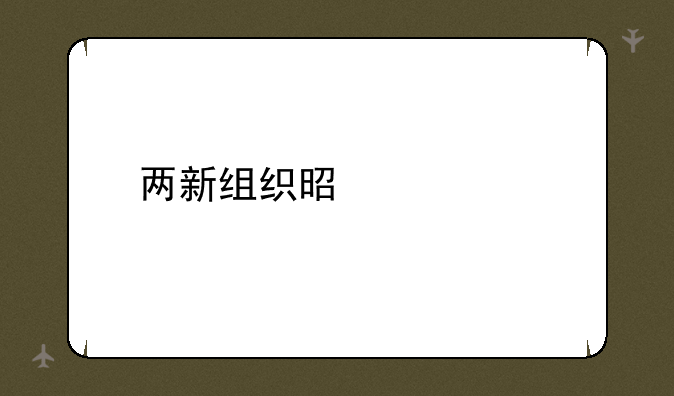 两新组织是什么