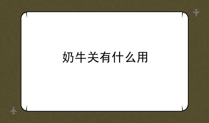 奶牛关有什么用