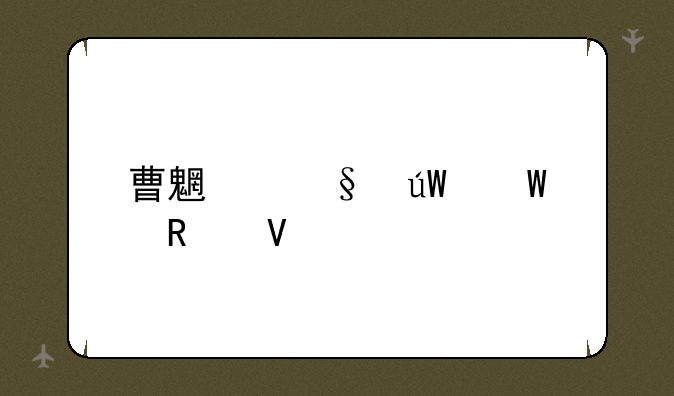 曹魏轩辕录攻略