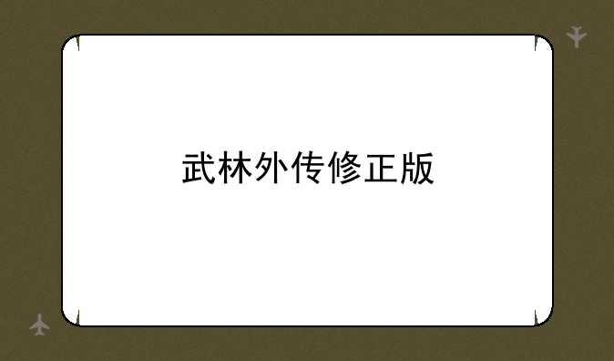 武林外传修正版