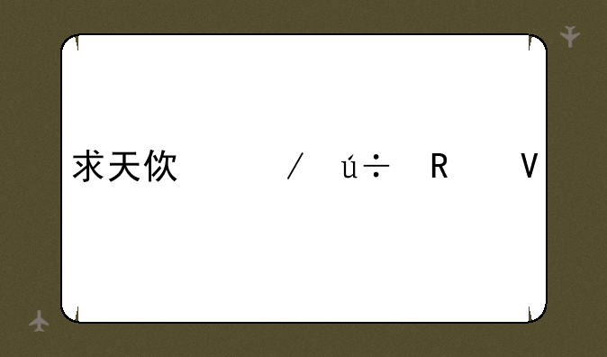 求天使之羽攻略