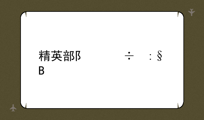 精英部队好玩吗