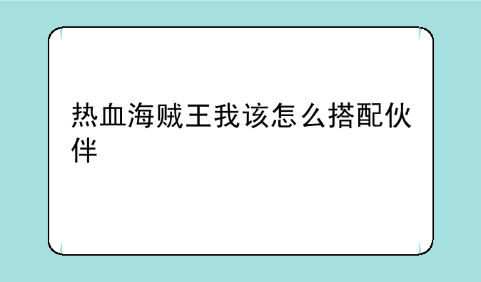 热血海贼王我该怎么搭配伙伴