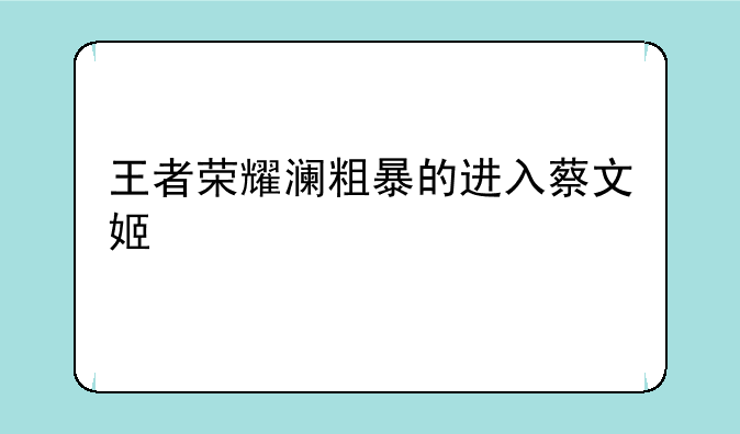 王者荣耀澜粗暴的进入蔡文姬