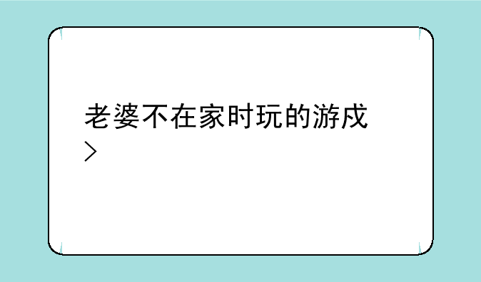 老婆不在家时玩的游戏叫什么