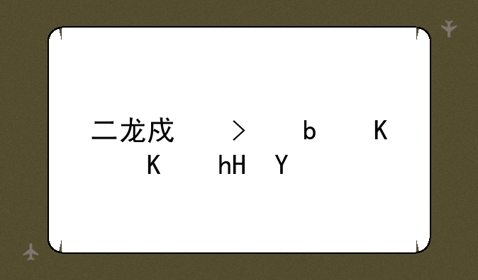 二龙戏珠是什么意思