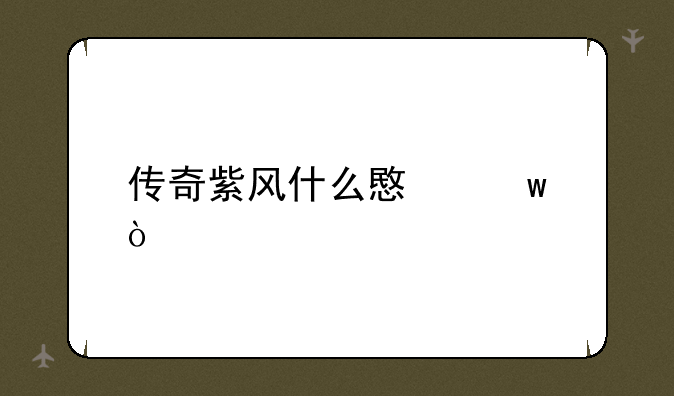 传奇紫风什么意思？