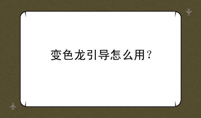 变色龙引导怎么用？