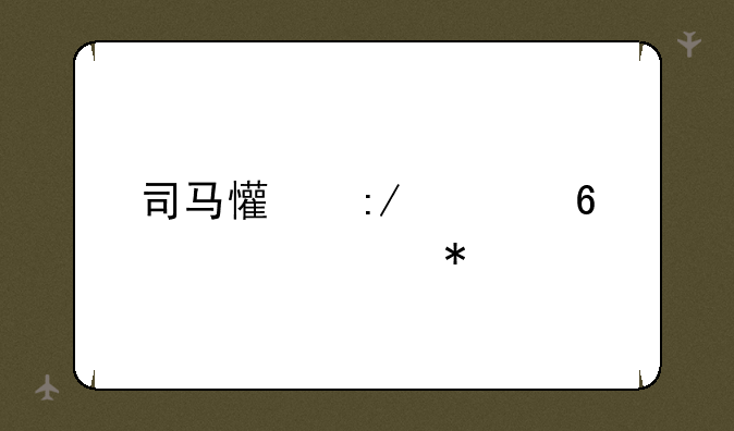 司马懿王者荣耀海报