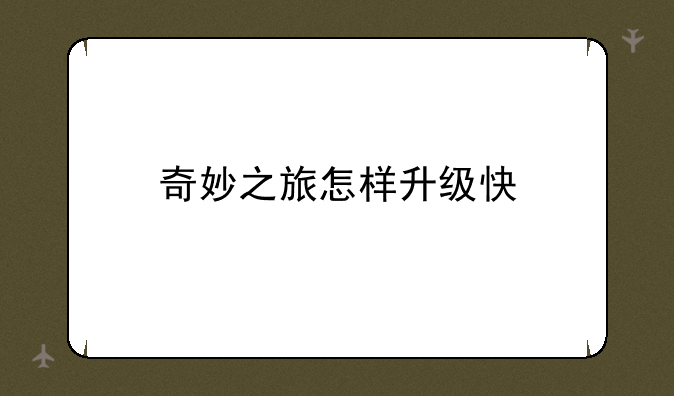 奇妙之旅怎样升级快