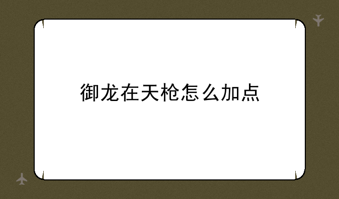 御龙在天枪怎么加点