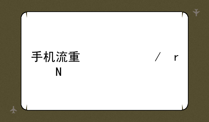 手机流量检测在哪里