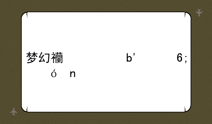 梦幻西游嘉年华礼盒