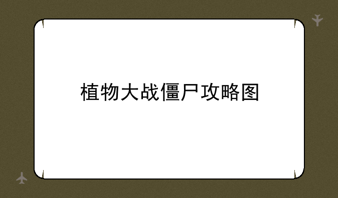 植物大战僵尸攻略图