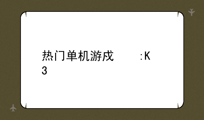热门单机游戏排行榜