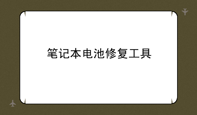 笔记本电池修复工具