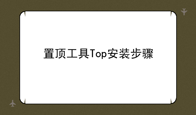 置顶工具Top安装步骤