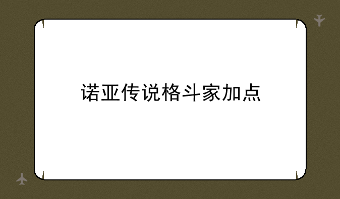 诺亚传说格斗家加点