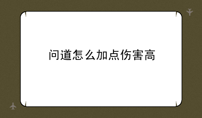 问道怎么加点伤害高