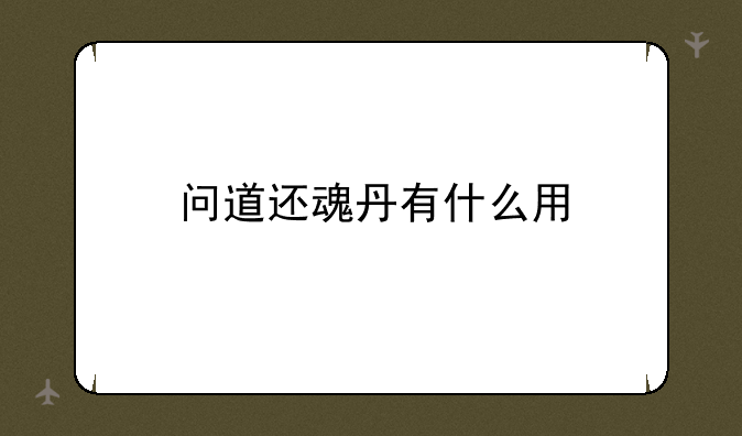 问道还魂丹有什么用