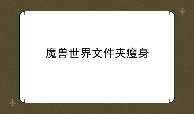 魔兽世界文件夹瘦身