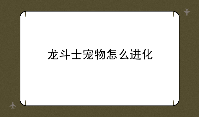 龙斗士宠物怎么进化