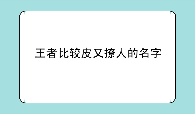 王者比较皮又撩人的名字