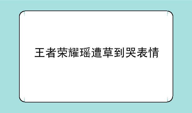 王者荣耀瑶遭草到哭表情