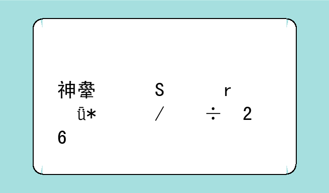 神舟笔记本驱动下载指南