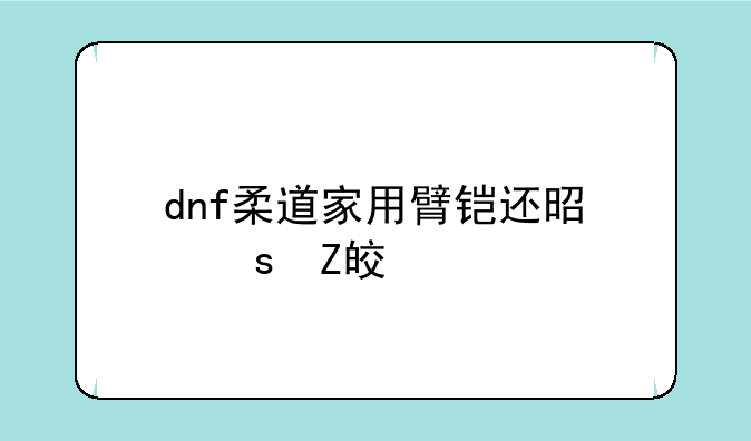 dnf柔道家用臂铠还是东方棍