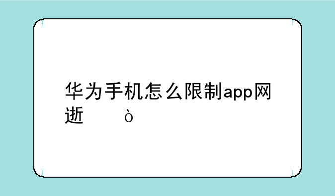 华为手机怎么限制app网速？