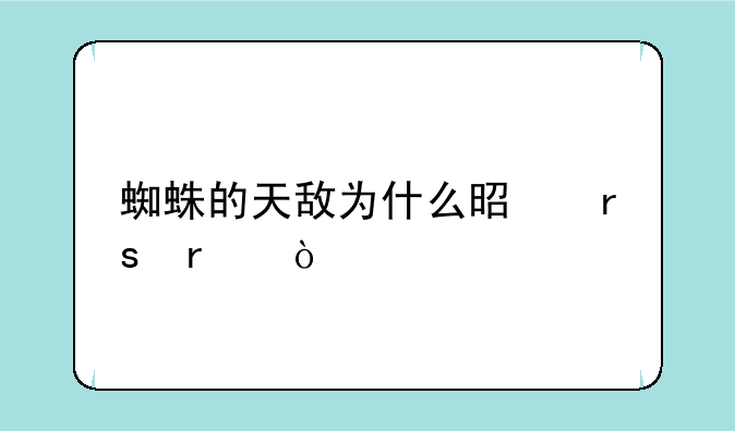 蜘蛛的天敌为什么是蜜蜂？
