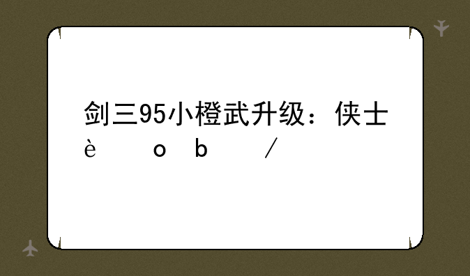 剑三95小橙武升级：侠士进阶之路