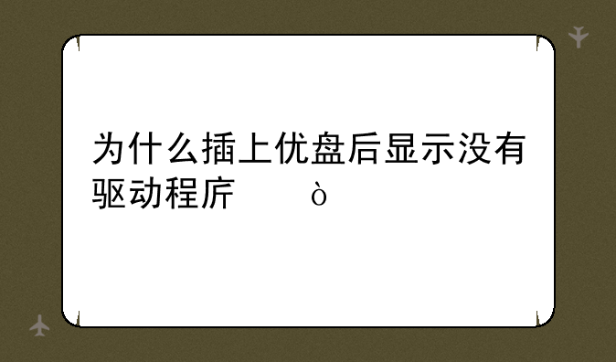 为什么插上优盘后显示没有驱动程序？