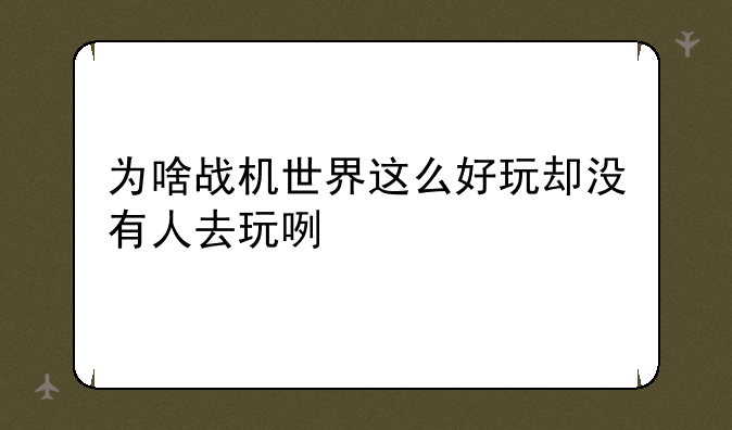 为啥战机世界这么好玩却没有人去玩咧