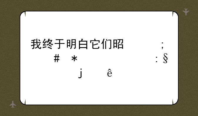 我终于明白它们是怎么把自己玩死的了