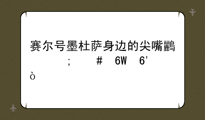 赛尔号墨杜萨身边的尖嘴鸟怎么捕捉？