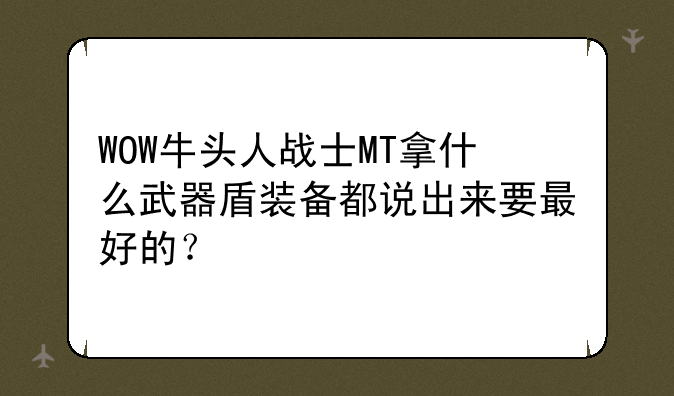 WOW牛头人战士MT拿什么武器盾装备都说出来要最好的？