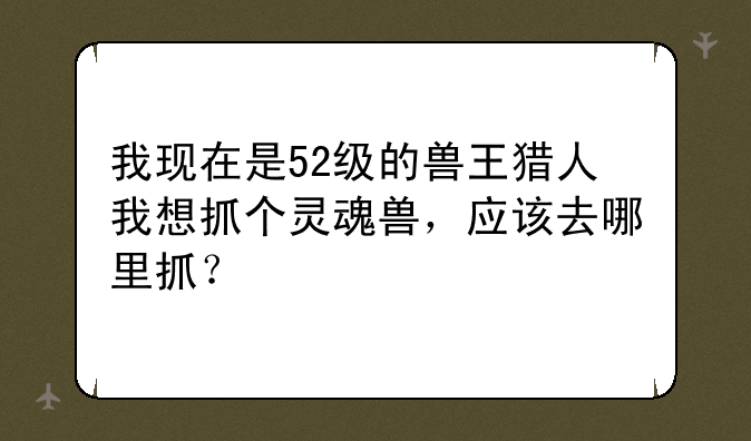 我现在是52级的兽王猎人我想抓个灵魂兽，应该去哪里抓？