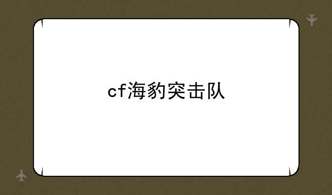 cf海豹突击队